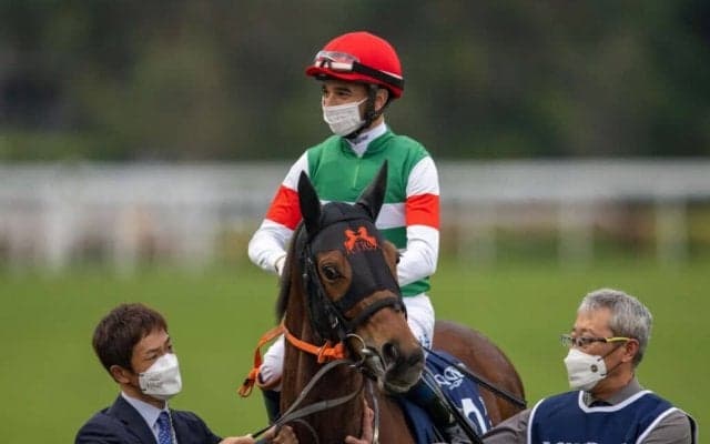 レイパパレが競走馬登録抹消