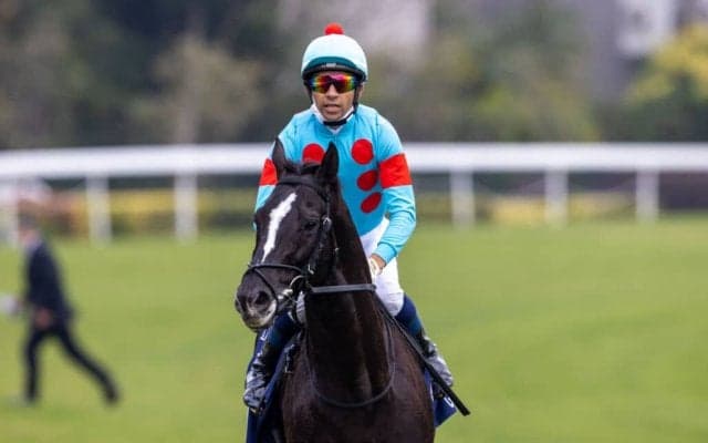 グローリーヴェイズが競走馬登録抹消