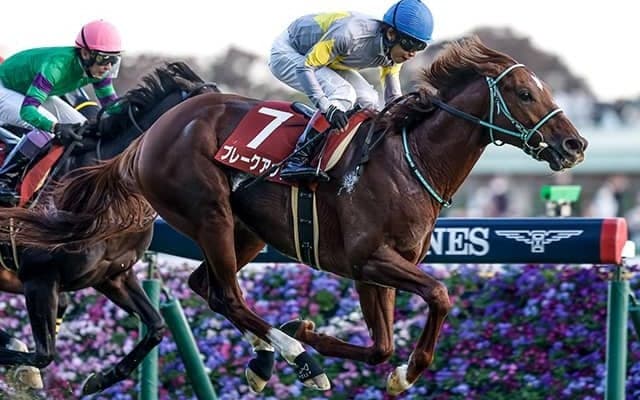 【有馬記念予想】今年のサイン馬券は『ワールドカップ』『村神様』『戦』などが人気…netkeibaユーザーに聞いたアンケート中間発表！