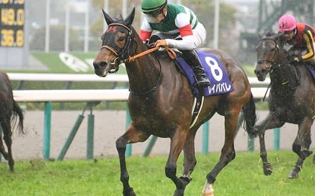 2021年の大阪杯覇者レイパパレが競走馬登録を抹消 ノーザンファームで繁殖馬に