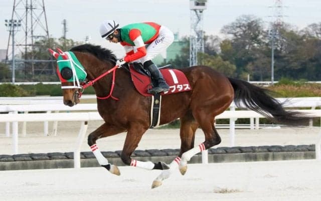 【兵庫ゴールドトロフィー】幸「まだまだやれる」ラプタスが貫禄の勝利