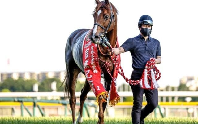 兄は『伝説の宝塚記念』の覇者 兄弟グランプリ制覇狙うボッケリーニ