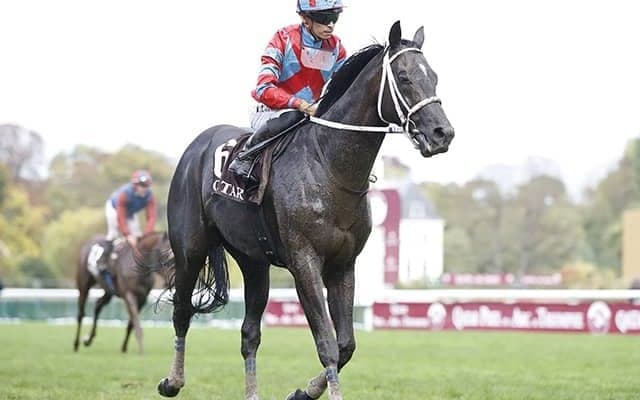 過去10年で2年連続馬券内は5頭！ 昨年の有馬記念2着馬が悲願のV狙う