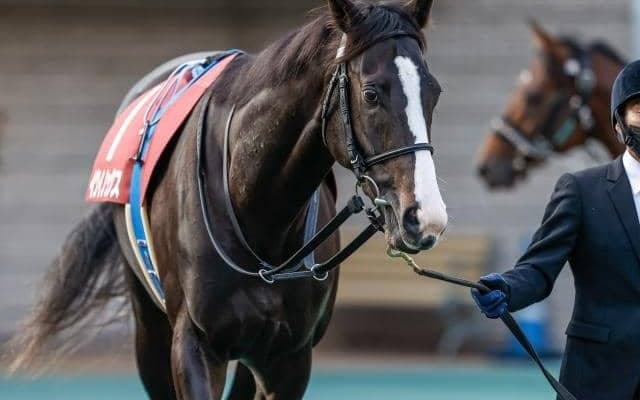 【有馬記念出走馬・騎手確定】イクイノックス＆ルメール騎手、タイトルホルダー＆横山和生騎手など16頭