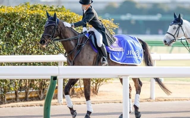 サクセスブロッケンが永眠 2009年フェブラリーSなどGI/JpnIを3勝、引退後は誘導馬として活動