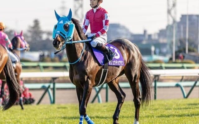 【中山大障害出走馬・騎手確定】オジュウチョウサン＆石神深一騎手、ゼノヴァース＆森一馬騎手など11頭