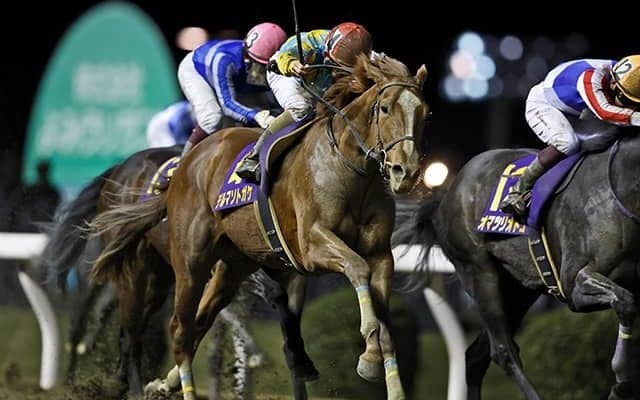 全日本2歳優駿覇者のデルマソトガケはサウジダービーへ