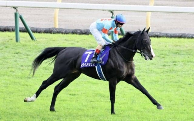 【有馬記念】イクイノックスは5枠9番へ