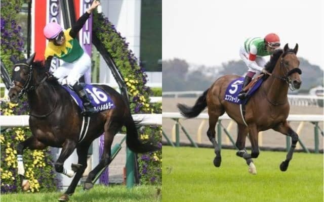 タイトルホルダー・エフフォーリアに黄信号!? 過去10年の有馬記念勝ち馬は全て前走で4着以内