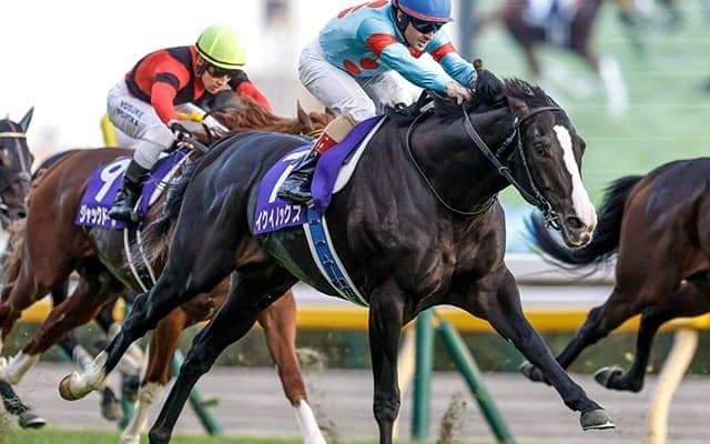 エフフォーリアら16頭中8頭が前走から2ケタ増 有馬記念調教後馬体重 