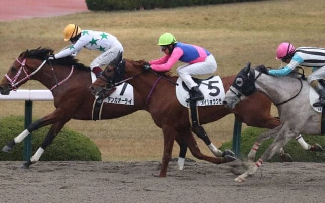 【新馬/阪神6R】マインドユアビスケッツ産駒 テンカオーライがデビューV