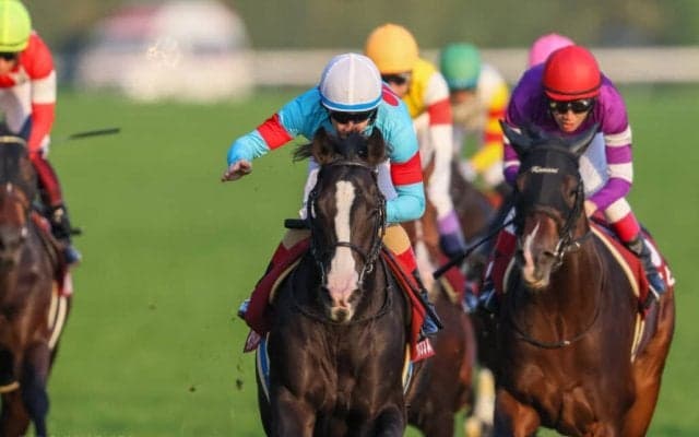 【有馬記念】出走馬の調教後の馬体重