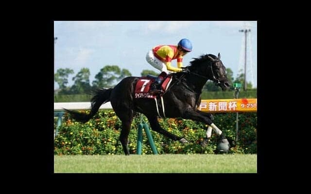 激戦の有馬記念。中・長距離戦線に絶対的な存在なき今、穴党記者が推す渾身の一頭とは？