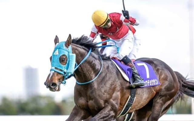 【中山大障害枠順確定】オジュウチョウサンは1枠1番、ゼノヴァースは8枠11番