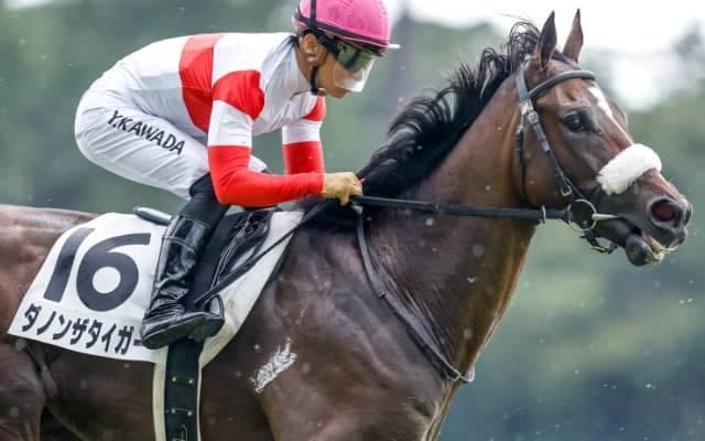 【次走】3億円馬ダノンザタイガーは引き続き川田将雅騎手と共同通信杯 その後は皐月賞・日本ダービーへ