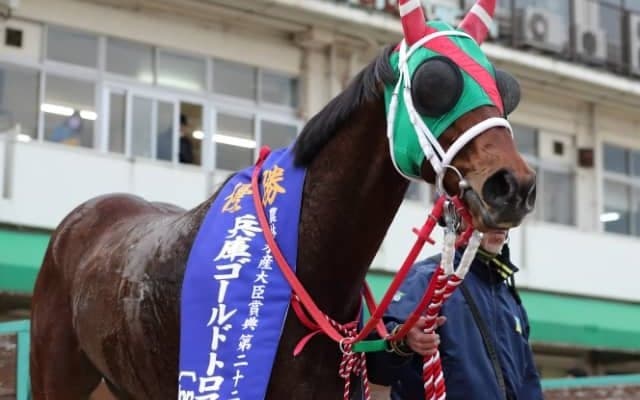 【次走】兵庫GTで重賞5勝目を挙げたラプタスは黒船賞へ