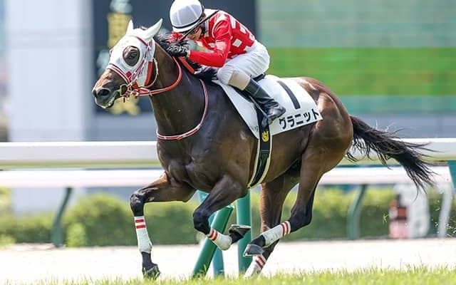 サウジアラビアRCで好走のグラニットが京成杯挑戦 嶋田純次騎手と再コンビ