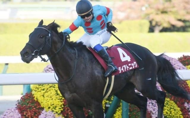 【阪神C予想】スプリンター・マイラーにとっての総決算的レース