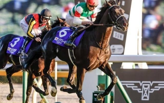 【有馬記念予想】穴馬候補も勝ち負け可能！ ビッグレース制覇も妙味ある一頭