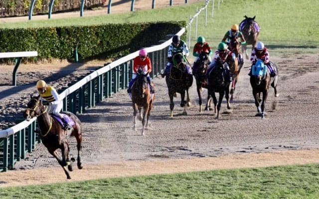 【中山大障害】絶対王者オジュウチョウサン、ラストランは6着…ニシノデイジーがV