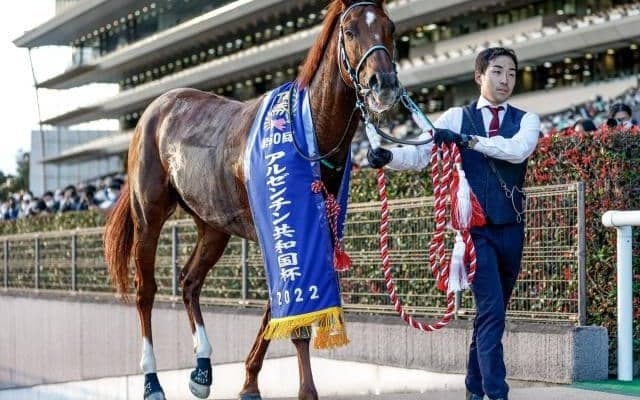 【有馬記念】16頭の香港馬名・馬名意味を紹介！ 『破空極光』『強大必勝』はどの馬？