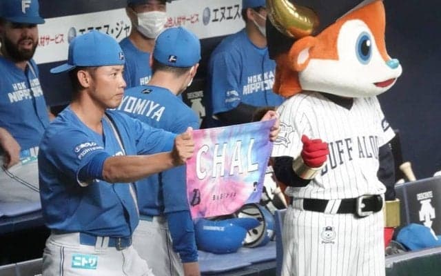 球団職員を“ガン見”…熱烈な愛が「最高」　敵コーチから元チアへ“今季の珍”に選出