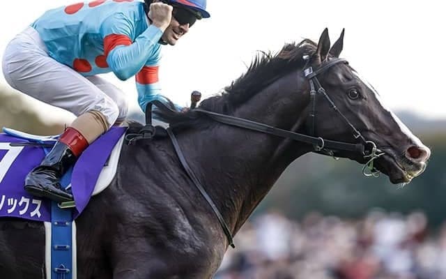 【AI予想・有馬記念】能力を引き出す巧みな騎乗！ コース替わりも豪脚一閃の末脚に期待