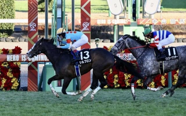 【グレイトフルS】シルブロンが差し切る 勝ちタイムは2分33秒8