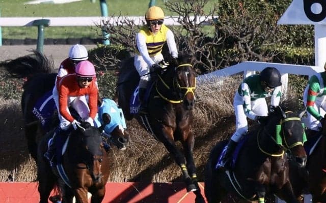 【中山大障害】五十嵐雄「オジュウを楽しみにしていたとは思いますけども…」ニシノデイジーが障害G1初制覇