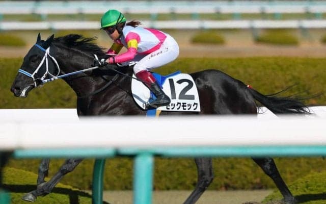 【新馬/阪神6R】今村聖奈 モックモックが9馬身差圧勝