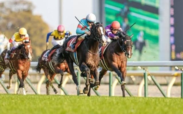 【今日の注目ポイント】一年の総決算・有馬記念で豪華メンバー競演