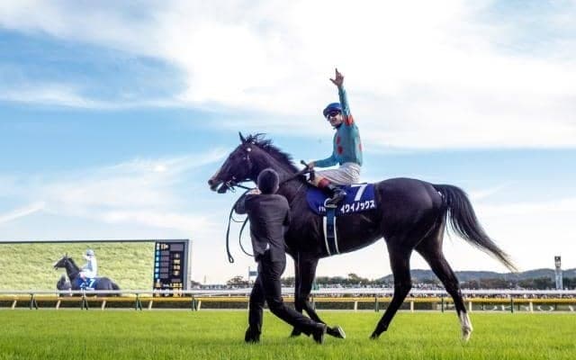 【有馬記念予想】1番人気馬の成績が良い堅調レース
