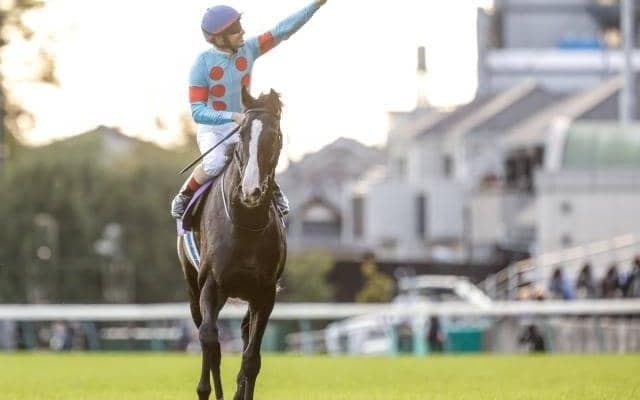 【有馬記念予想】内枠が絶対有利ではない？ 有馬記念で狙いたい人気順・ローテ・騎手とは？