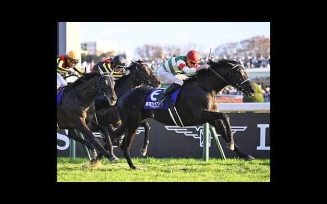 タイトルホルダーが単騎で逃げる有馬記念。意外とレースは緩みなく流れ、後方からまくってくる伏兵に出番あり