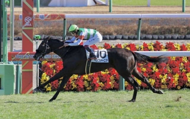 【新馬/中山6R】エフフォーリア半妹 ペリファーニアがデビューV