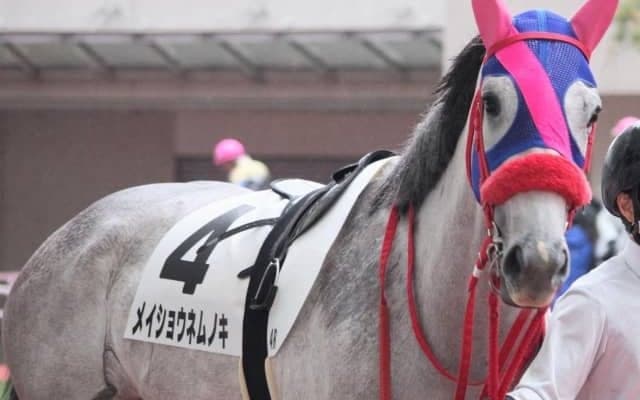 12月25日の競走中止・疾病などの一覧 メイショウネムノキ落馬など/中山・阪神
