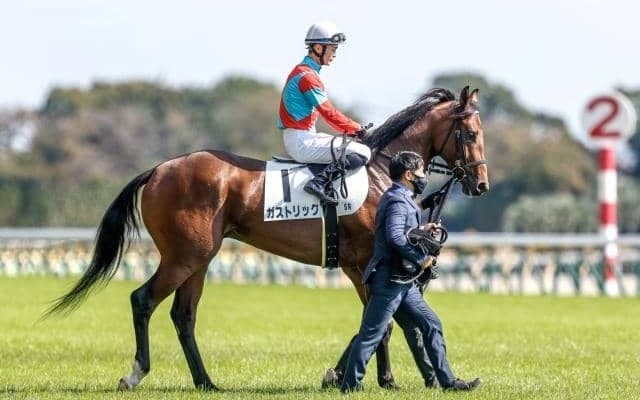 JRAで2歳GIのホープフルS、大井でダートGI東京大賞典/今週の競馬界の見どころ