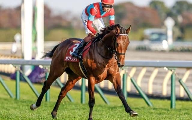 【ホープフルS見どころ】東スポ杯覇者ガストリックの無傷3連勝なるか