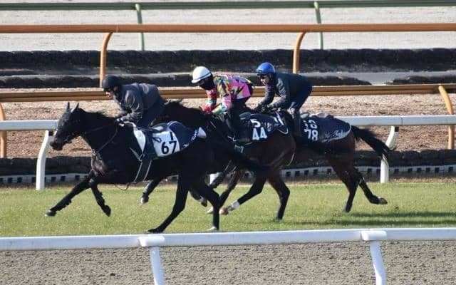 モントライゼの半弟スカーズが初陣迎える/関西馬メイクデビュー情報