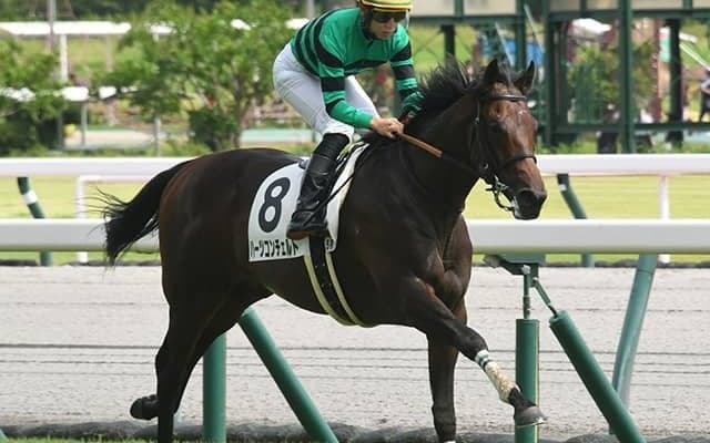 【AI予想・ホープフルS】豪脚一閃の末脚でリベンジ達成か!? 2022年GI最終決戦で狙える馬とは