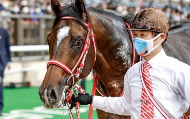 【ホープフルS予想オッズ】ミッキーカプチーノが予想1番人気