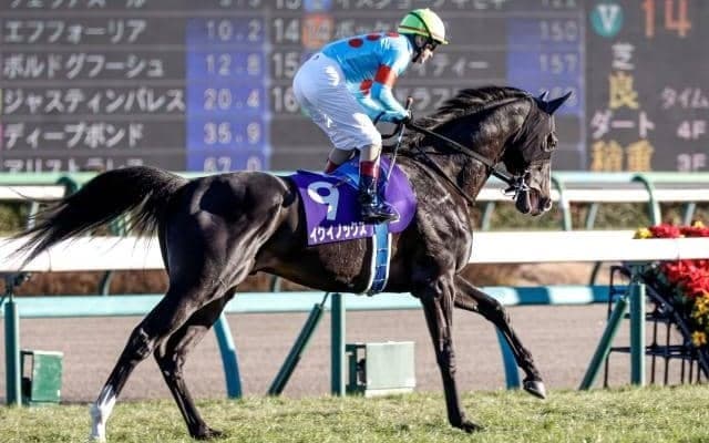 文句なしの名配合 更なる成長見込める傑作イクイノックス