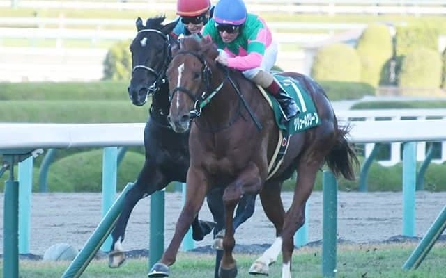 兄は若くでこの世を去った「中山巧者」 京都2歳Sの覇者がホープフルSでGI初制覇へ