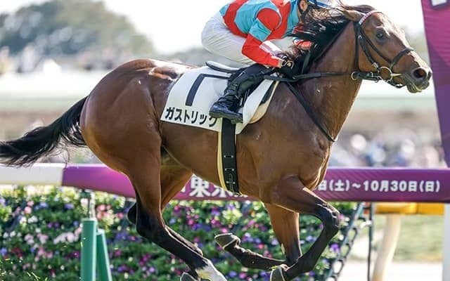 「出世レース」東スポ杯2歳Sの覇者 ホープフルS制覇で偉大な先輩に続くか