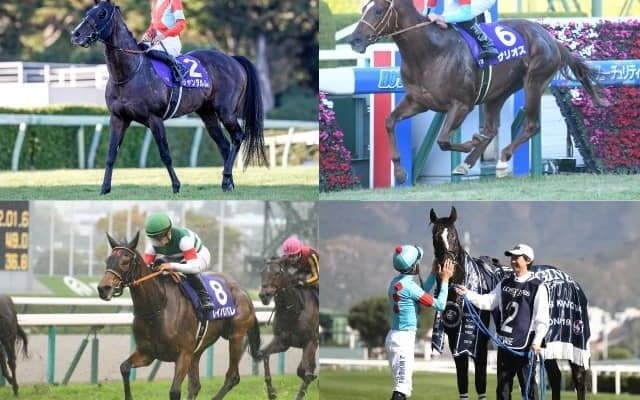 今年香港遠征を行ったGI馬4頭、2021年の府中牝馬S覇者らがターフを去る