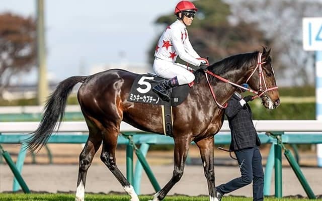 ホープフルS調教後馬体重 ミッキーカプチーノは524kg、ガストリックは510kg