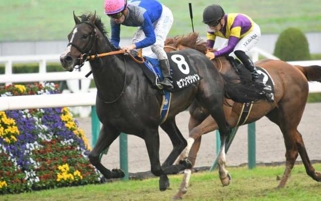 【ホープフルS展望】時計が掛かりやすいレース、あの馬に期待したい