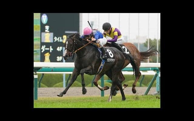 ホープフルＳの本命は「血統的に文句なし」のジャスタウェイ産駒。２歳世代のトレンド配合を持つ実力馬が対抗か