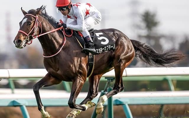 新馬戦は後の重賞馬に勝利 葉牡丹賞勝ち馬が無傷のホープフルS制覇へ