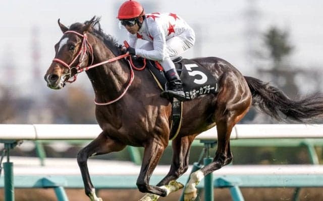 【ホープフルS予想】有馬記念と傾向は似てる？ 有力馬が該当する不利な枠番